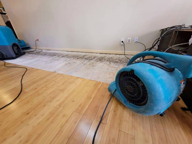 Professional Basement Flood Cleanup technician working in Alpaugh, CA